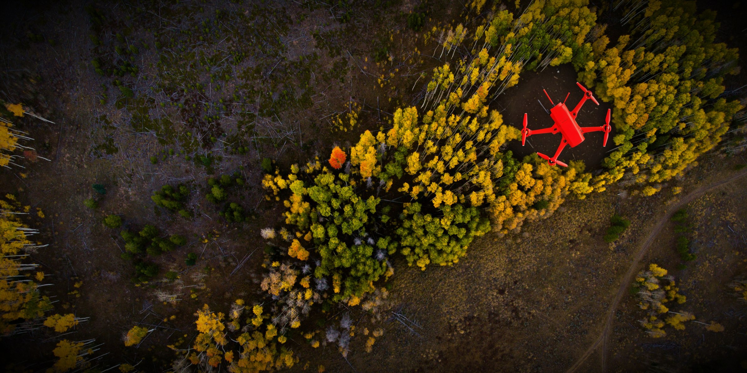 Red aircraft above a forested area